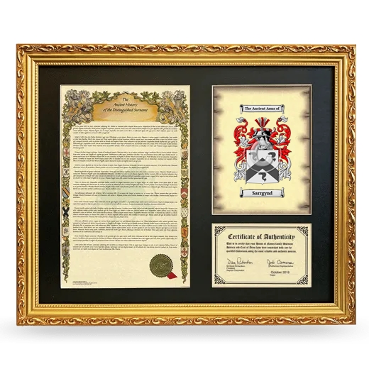 Sarrgynd Framed Surname History and Coat of Arms- Gold