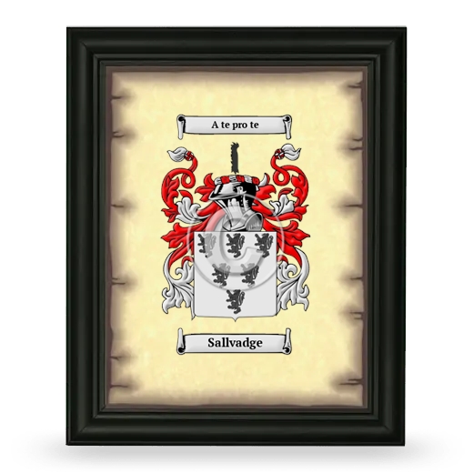 Sallvadge Coat of Arms Framed - Black