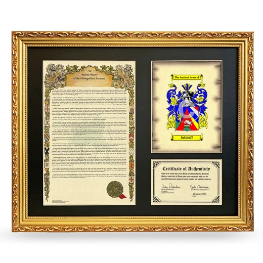 Schleiff Framed Surname History and Coat of Arms- Gold