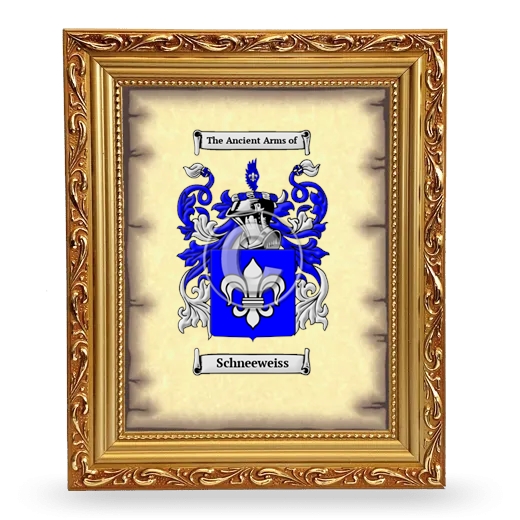 Schneeweiss Coat of Arms Framed - Gold