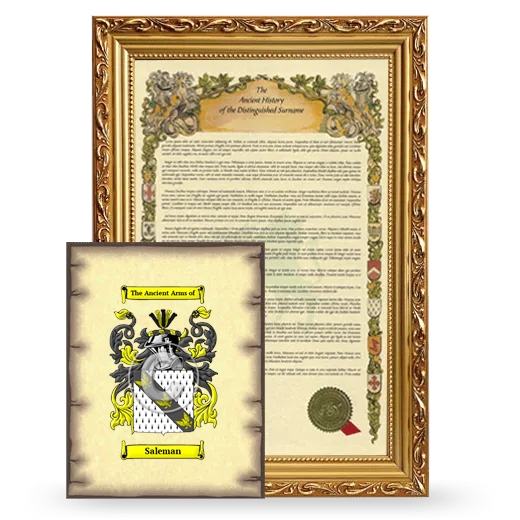 Saleman Framed History and Coat of Arms Print - Gold