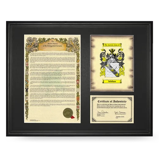 Selehan Framed Surname History and Coat of Arms - Black