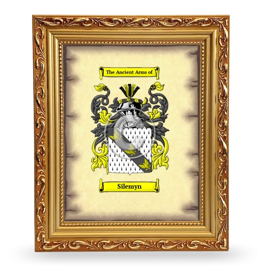 Silemyn Coat of Arms Framed - Gold