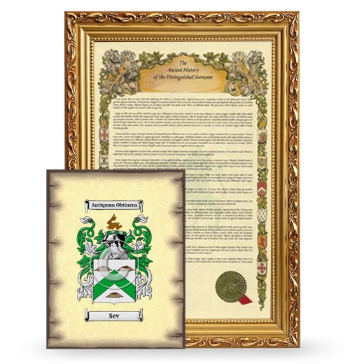 Sev Framed History and Coat of Arms Print - Gold