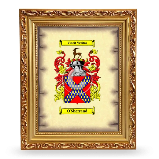 O'Sherrand Coat of Arms Framed - Gold
