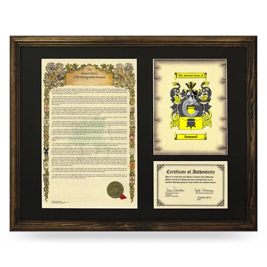 Semmel Framed Surname History and Coat of Arms - Brown
