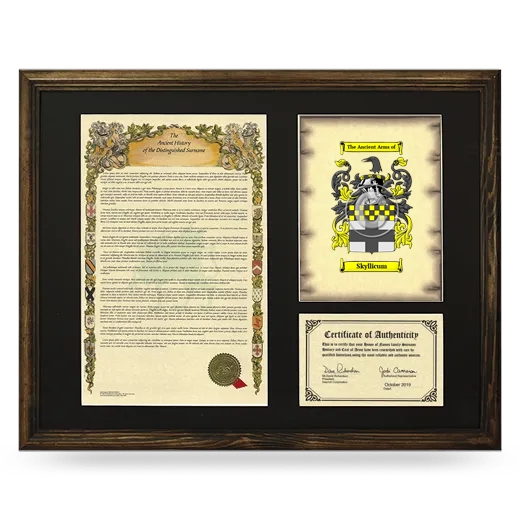 Skyllicum Framed Surname History and Coat of Arms - Brown