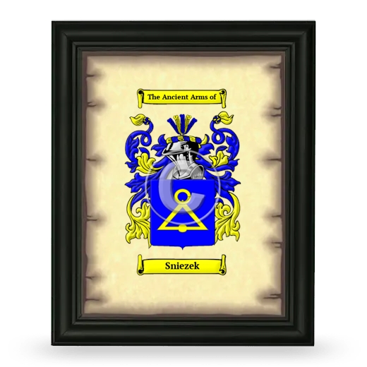 Sniezek Coat of Arms Framed - Black