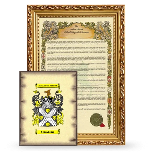 Spraykling Framed History and Coat of Arms Print - Gold
