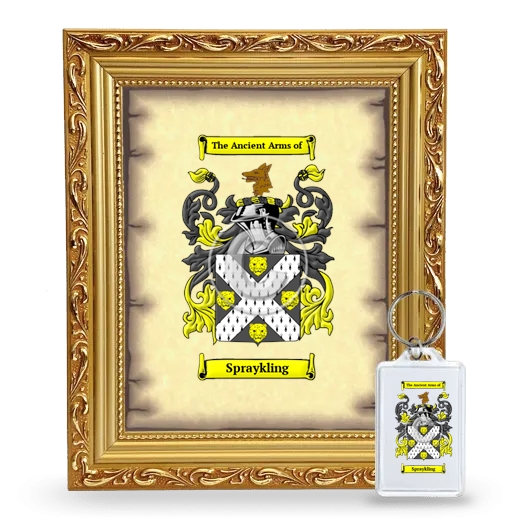 Spraykling Framed Coat of Arms and Keychain - Gold
