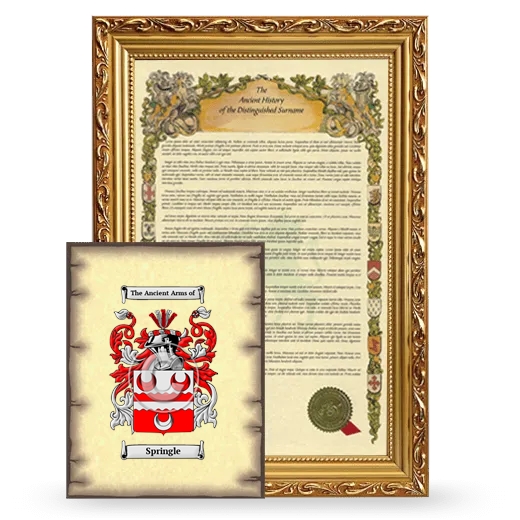 Springle Framed History and Coat of Arms Print - Gold