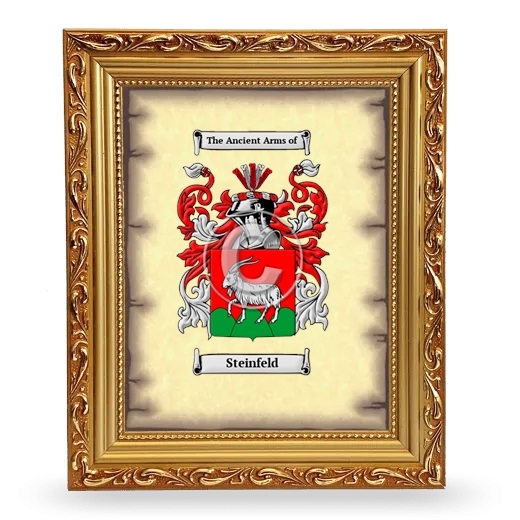 Steinfeld Coat of Arms Framed - Gold