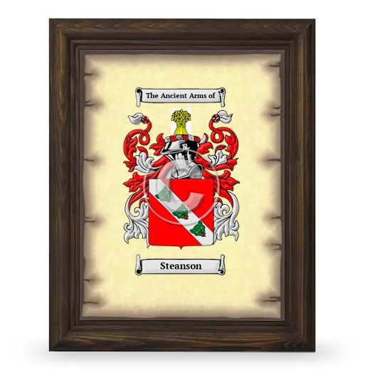 Steanson Coat of Arms Framed - Brown