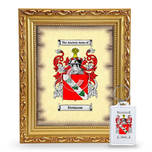 Stemson Framed Coat of Arms and Keychain - Gold