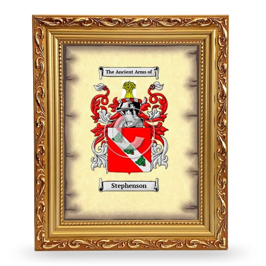 Stephenson Coat of Arms Framed - Gold