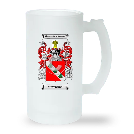 Stevensind Frosted Beer Stein