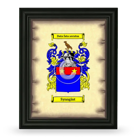 Synngint Coat of Arms Framed - Black