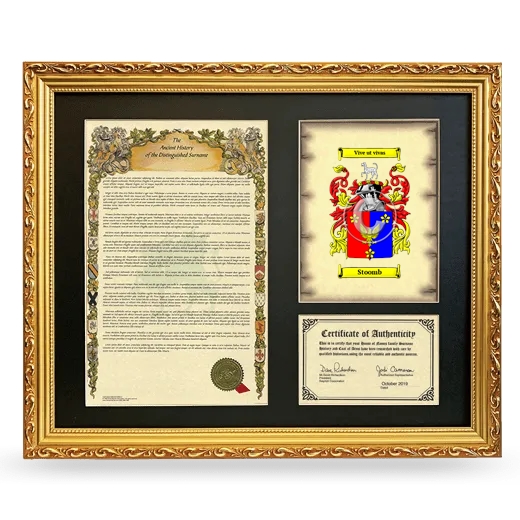 Stoomb Framed Surname History and Coat of Arms- Gold