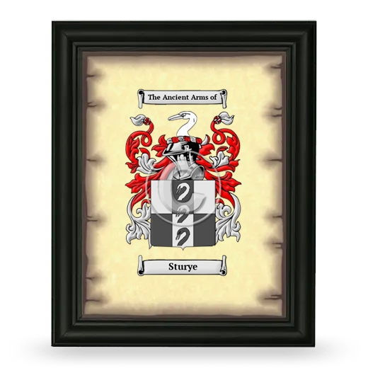 Sturye Coat of Arms Framed - Black