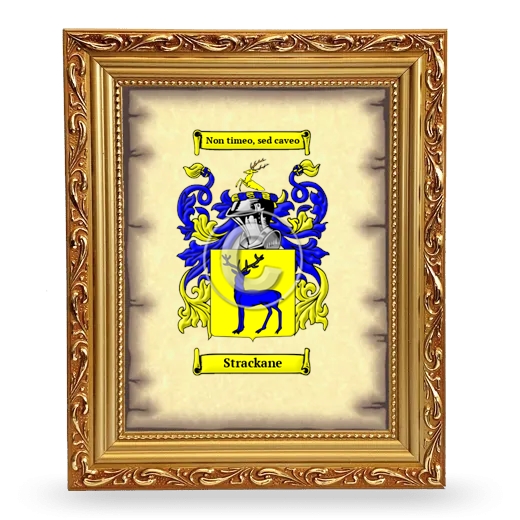 Strackane Coat of Arms Framed - Gold