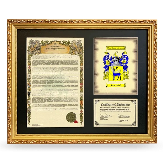 Stratchind Framed Surname History and Coat of Arms- Gold