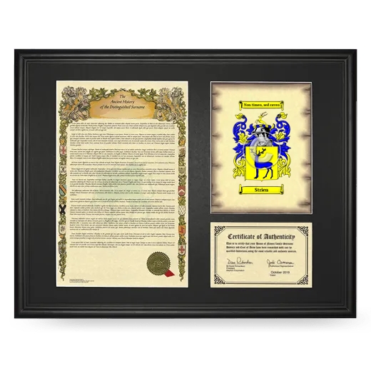 Strien Framed Surname History and Coat of Arms - Black