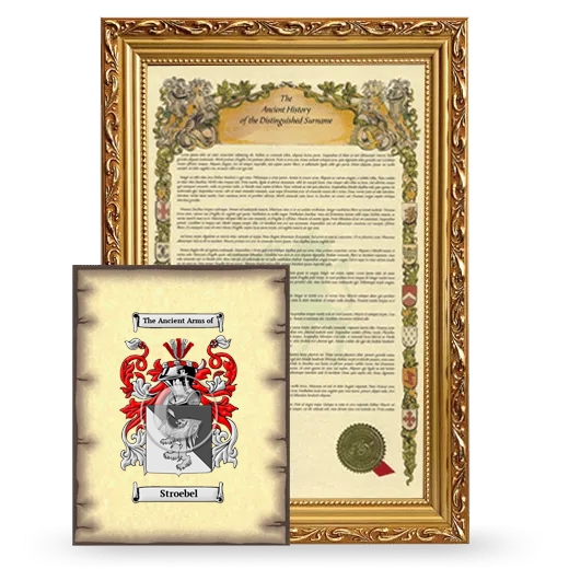 Stroebel Framed History and Coat of Arms Print - Gold