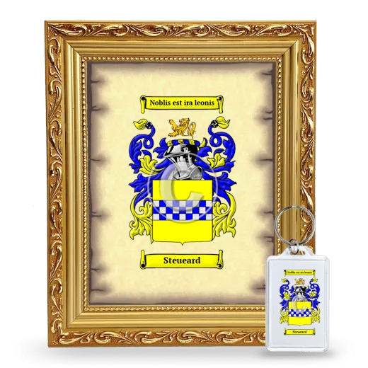 Steueard Framed Coat of Arms and Keychain - Gold