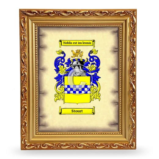 Stourt Coat of Arms Framed - Gold