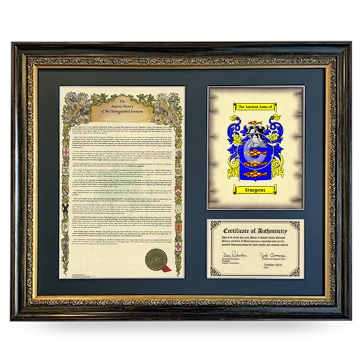 Sturgeon Framed Surname History and Coat of Arms- Heirloom