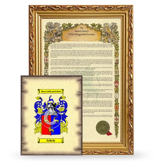 Sukely Framed History and Coat of Arms Print - Gold