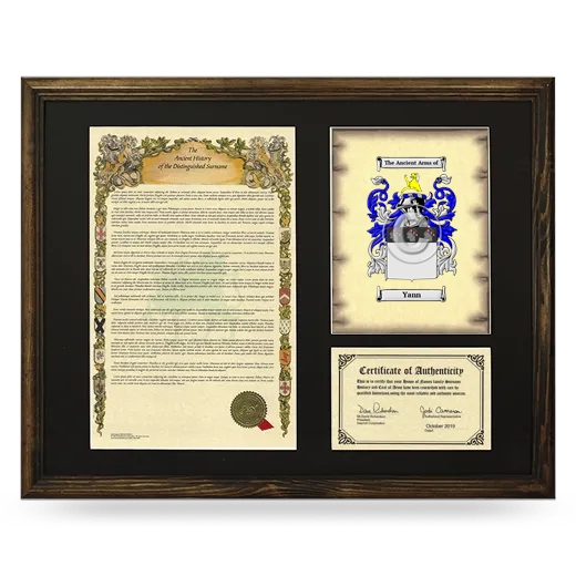 Yann Framed Surname History and Coat of Arms - Brown