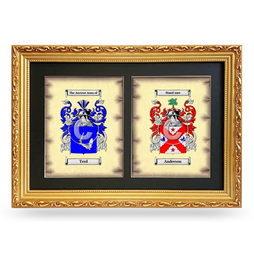 Double Coat of Arms Framed - Gold