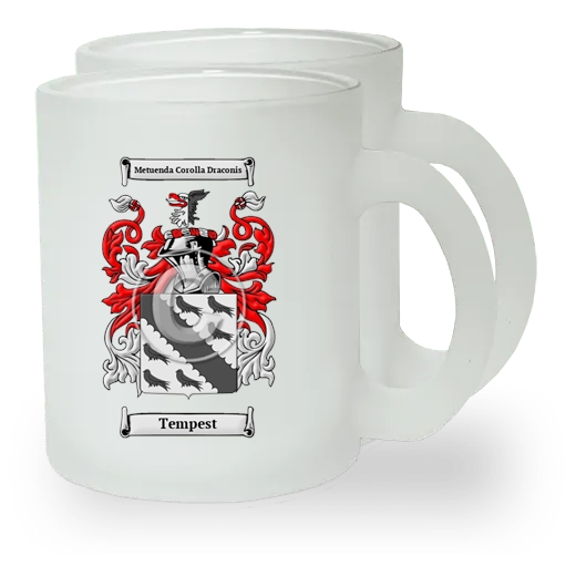 Tempest Pair of Frosted Glass Mugs