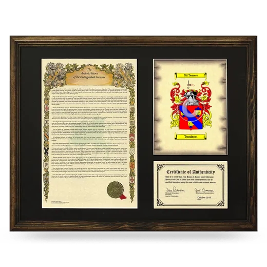 Tunison Framed Surname History and Coat of Arms - Brown