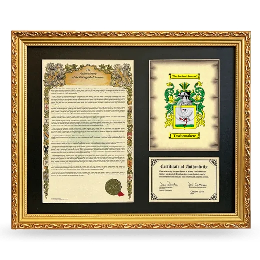 Teschemakere Framed Surname History and Coat of Arms- Gold