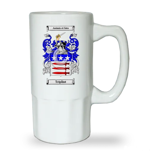 Triplint Ceramic Beer Stein