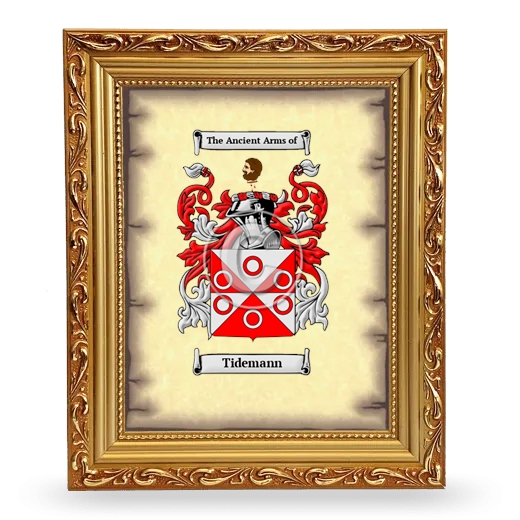 Tidemann Coat of Arms Framed - Gold