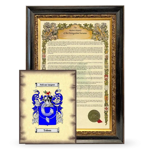 Tobon Framed History and Coat of Arms Print - Heirloom