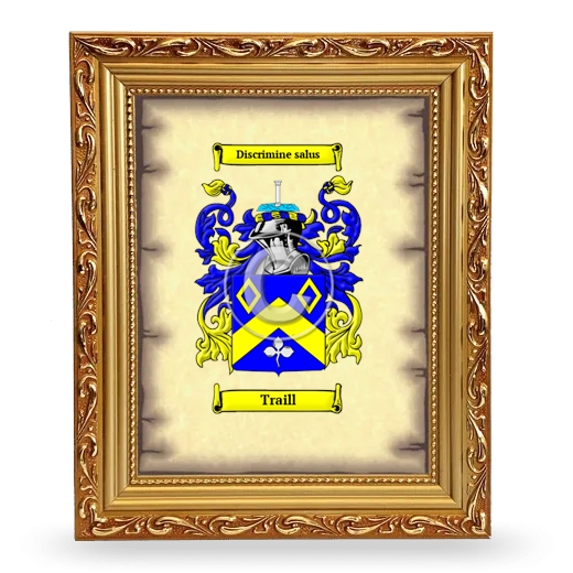 Traill Coat of Arms Framed - Gold