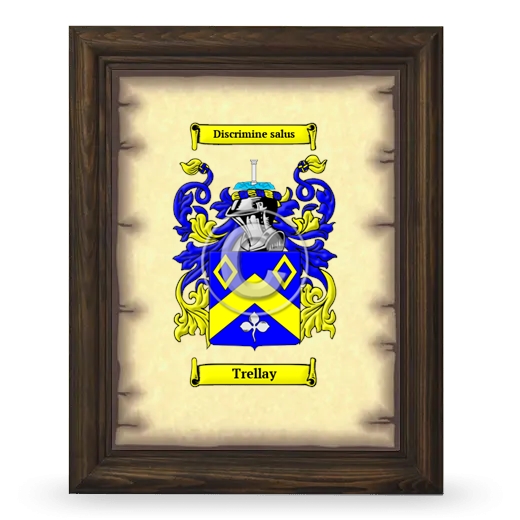Trellay Coat of Arms Framed - Brown