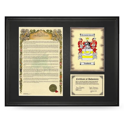 Troubach Framed Surname History and Coat of Arms - Black