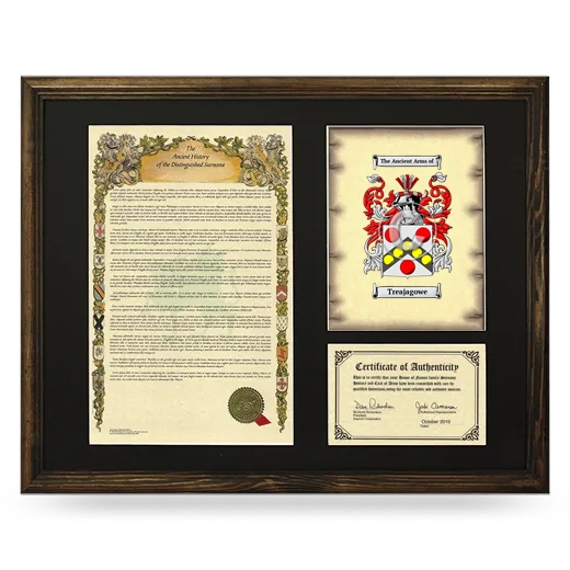 Treajagowe Framed Surname History and Coat of Arms - Brown