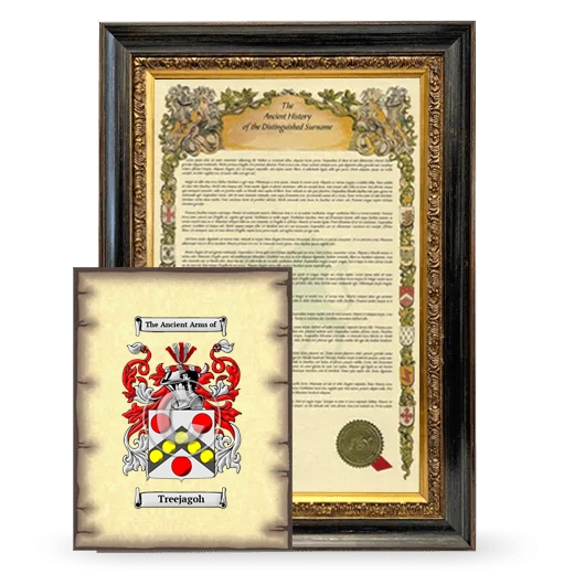 Treejagoh Framed History and Coat of Arms Print - Heirloom