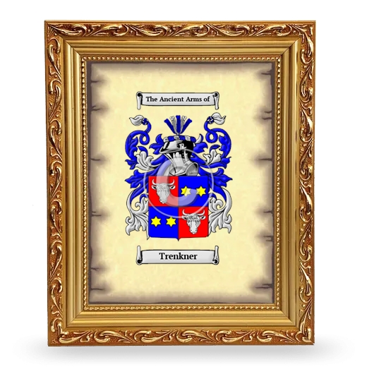 Trenkner Coat of Arms Framed - Gold