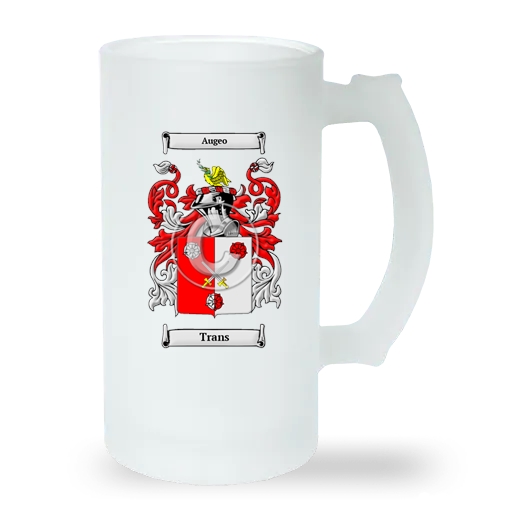 Trans Frosted Beer Stein