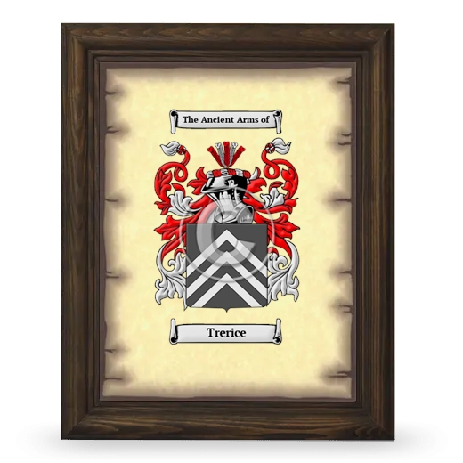 Trerice Coat of Arms Framed - Brown