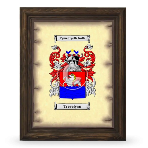 Trevelyan Coat of Arms Framed - Brown