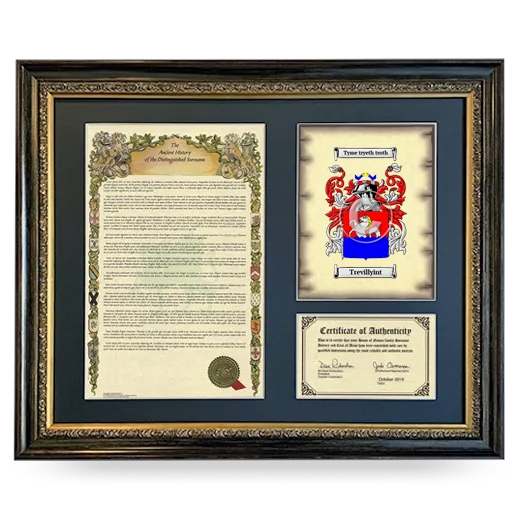 Trevillyint Framed Surname History and Coat of Arms- Heirloom
