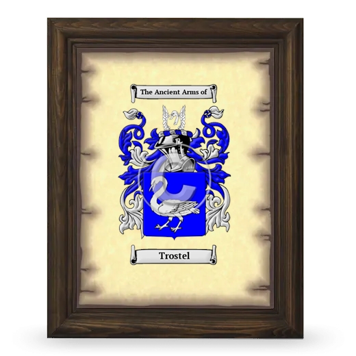Trostel Coat of Arms Framed - Brown